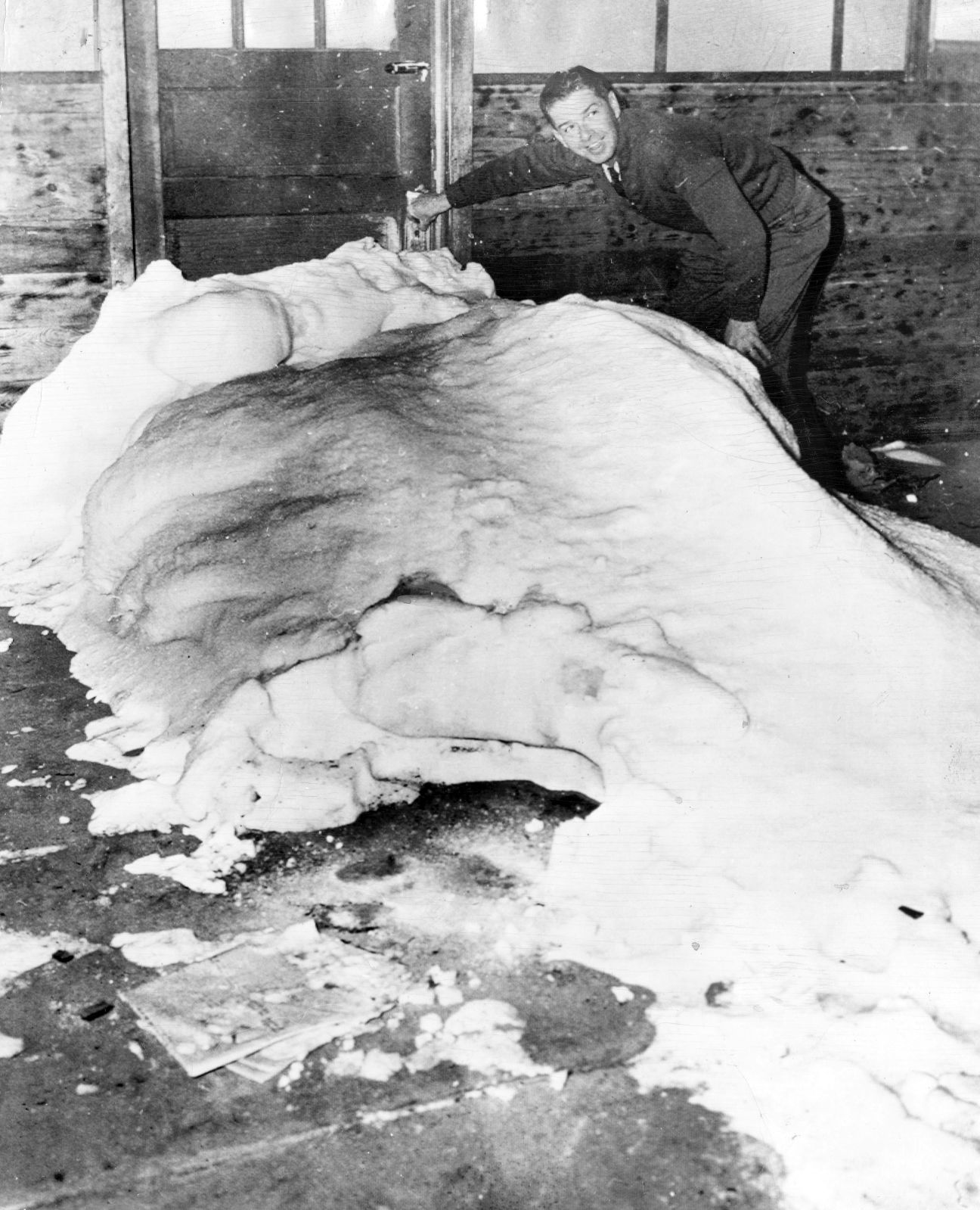 Manager Dixon K. Grassman of the Western Air Lines office at Alliance, Neb. has his finger on the keyhole which he said admitted all the snowdrift seen in the foreground. Published Feb. 8, 1949.